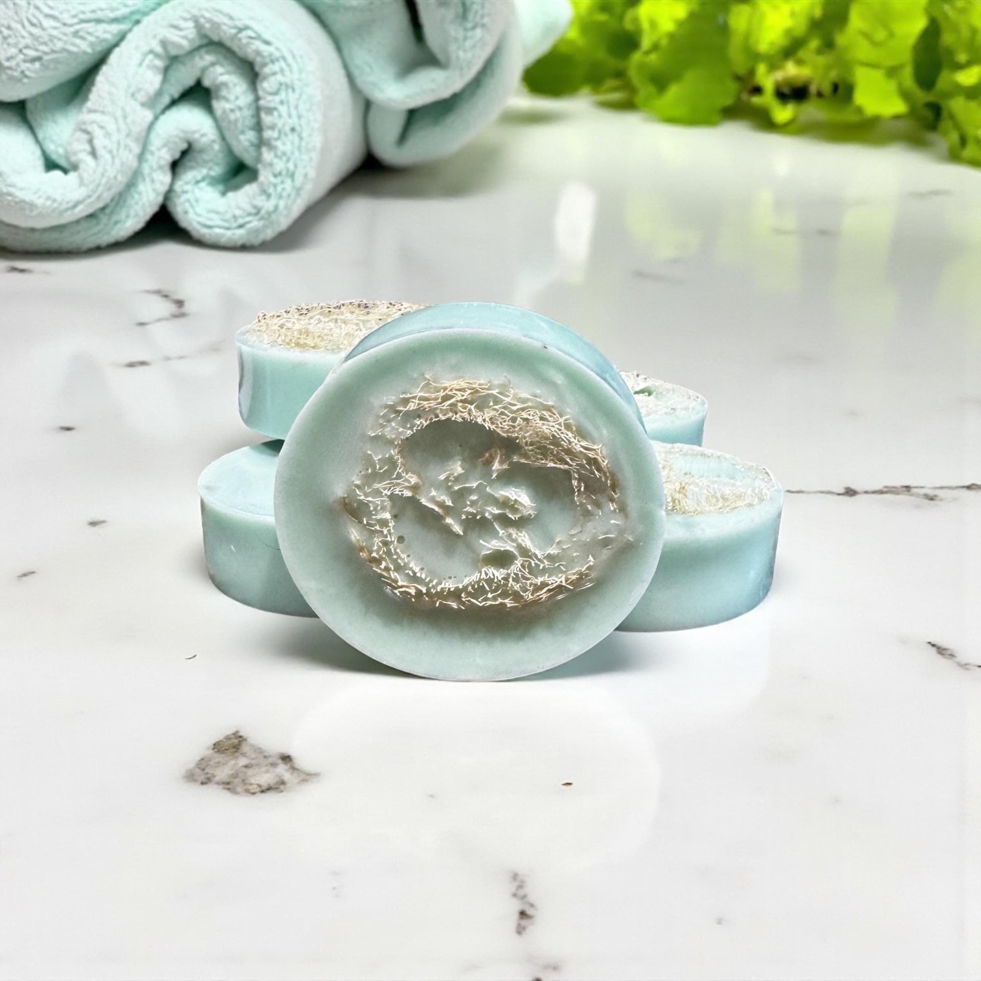 Caribbean Teakwood loofah Goat Milk Body Soap