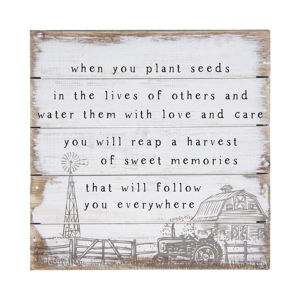 Plant Seeds